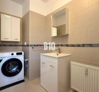 Bathroom with washing machine, sink, and cabinets in the Recreational Apartment.