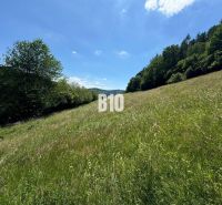 A wide meadow with a view, surrounded by trees in Dolný Vadičov, ideal for residential plots.