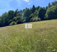 A grassy plot in Dolný Vadičov surrounded by forest, ideal for living.