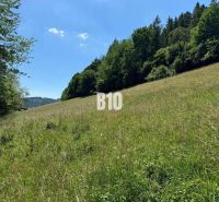 Green meadows and forests in Dolný Vadičov, ideal for residential plots.