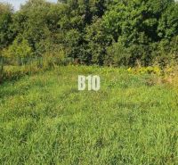 Peaceful plots in close proximity to greenery, suitable for living.