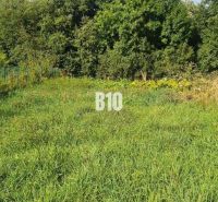 The image shows a green grassy plot suitable for living, surrounded by trees.