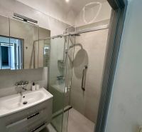 A bathroom in a 3-room apartment with a shower, a sink, and simple lighting.