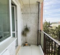 A balcony with a white floor and a plant in a studio apartment.