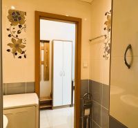 Bathroom in a one-room apartment with a washing machine, toilet, and floral decoration on the walls.