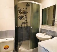 Bathroom in a studio apartment with a toilet, shower, and sink.
