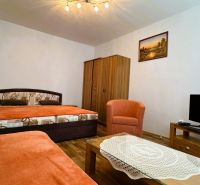 Living room with a sofa, bed, armchair, and television, studio apartment, floor with wood decor.