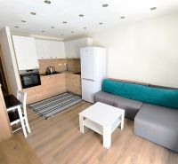 Kitchen and living room in a studio apartment with a kitchenette and a sofa on a floor with a wooden decor.