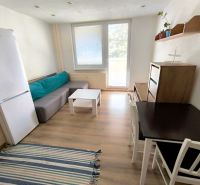 Living area in a studio apartment with wood-patterned flooring, a couch, and a table.