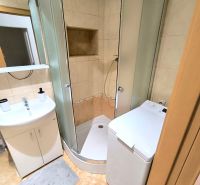 A bathroom with a shower and a washing machine in a studio apartment.