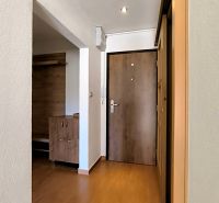 Entrance hallway in a one-room apartment with a wood-patterned floor and wooden doors.