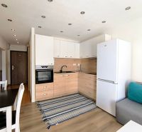 A kitchen in a studio apartment with a wood-patterned floor and white cabinets.