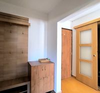 A hallway in a one-room apartment with furniture and a wooden decor floor.