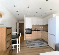 Kitchen and dining table in a studio apartment with a wooden decor floor.