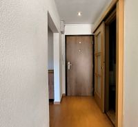 A hallway in a one-room apartment with a wooden decor floor and entrance door.