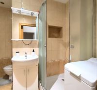 A bathroom with a corner shower and a washing machine in a studio apartment.