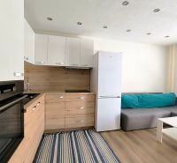 A kitchen in a studio apartment with a wood-patterned floor and a sofa.