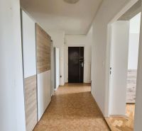 Entrance hallway with a built-in wardrobe and a floor with a wood decor in a 3-room apartment.