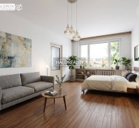 Living room with a sofa, bed, and wooden decor flooring in a studio apartment.