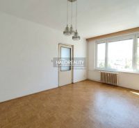 An empty room in a one-room apartment with wood-patterned flooring and a large window.