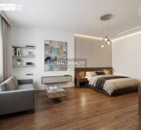 Bedroom in a studio apartment with a bed and a sofa, wooden decor flooring.