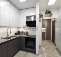 A modern kitchen in a studio apartment with an entrance and plants creates a harmonious space.