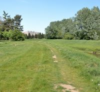 Lawn and tree line by the river on J. M. Hurban Embankment in Michalovce.