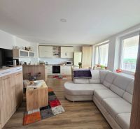 Living room in a 3-room apartment with a kitchen, light sofa, and wooden decor flooring.