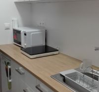 Kitchen unit in a studio apartment with a microwave, hob, and wooden decor.