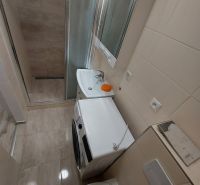 A bathroom in a studio apartment with a shower, washing machine, and sink in a compact space.