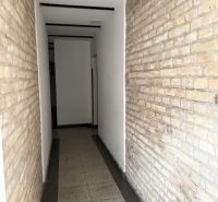A narrow interior passage with a brick wall and light flooring in a two-room apartment.