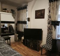 A room in a 2-room apartment with a wooden decor floor, a television, and a large mirror.
