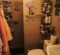 Bathroom in a 2-room apartment with a toilet and a shower, decorative elements on the walls.