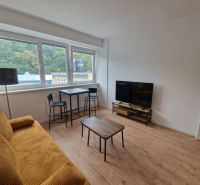 Living room with a sofa, television, and wooden decor flooring in a 2-room apartment.