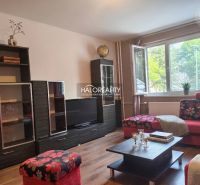 A living room in a three-room apartment with a wooden decor floor and vibrant colored furniture.