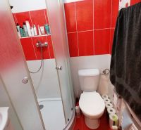 A bathroom in a studio apartment with red tiles and a shower corner.