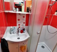 A bathroom with red tiles, a shower corner, and a sink in a studio apartment.