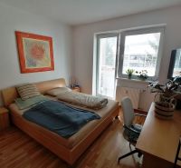 Bright 1-room apartment with wood-patterned flooring, a bed, and a table.