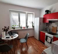 Kitchen in a studio apartment with a wooden decor floor and a red kitchen unit.