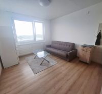 Living room in a studio apartment with a sofa, table, and wooden decor flooring.
