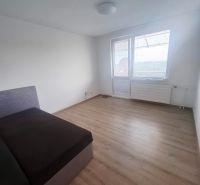 Room in a one-room apartment with a wooden floor and a bed.