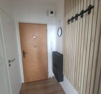 Entrance hall in a one-room apartment with a wooden decor floor, mirror, and storage space.