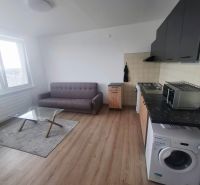 Living area in a studio apartment with a sofa, glass table, and wood-patterned flooring.