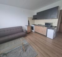 Living area of a studio apartment with a wooden decor floor, sofa, and kitchenette.