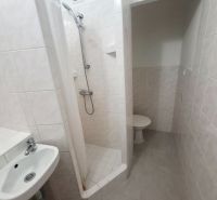 A bathroom with a sink, shower, and toilet in light tile colors, studio apartment.