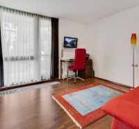 A bright room with a red sofa, a carpet, and a wooden decor floor.