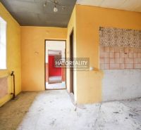 An abandoned room with colorful walls and a window in a family house.