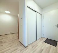 Entrance hall in a 2-room apartment, floor with wood decor, spacious built-in wardrobe.