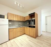 A kitchen in a 2-room apartment with wooden decor and appliances including a microwave.
