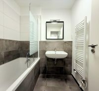 Bathroom with a shower, sink, and mirror in a 2-room apartment.
